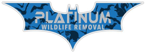 Executive Wildlife Control LLC